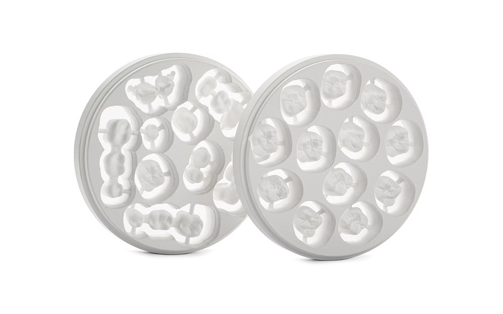 Zirconia Discs
